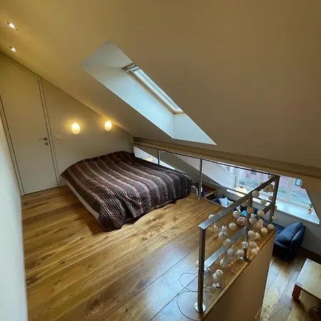 Cozy Old Town Loft Apartment Kaunas